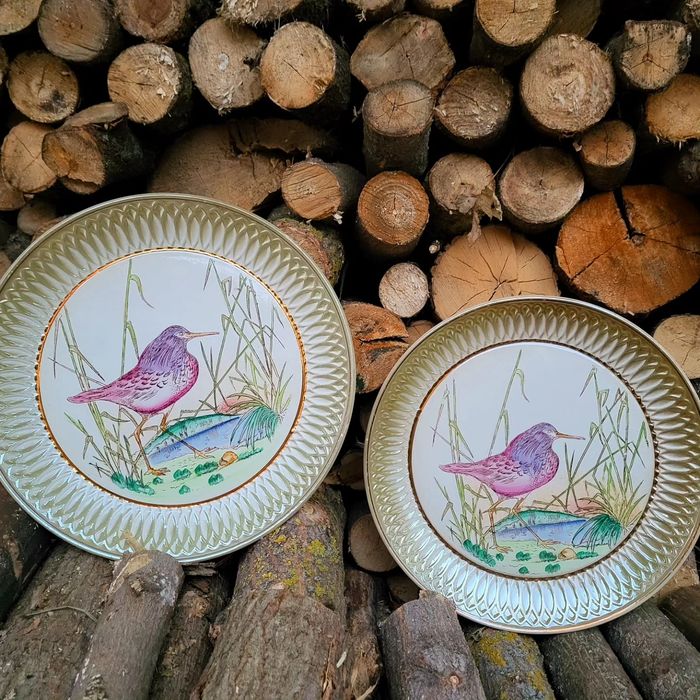 Тарілки буди вінтаж тарілки набори блюдо