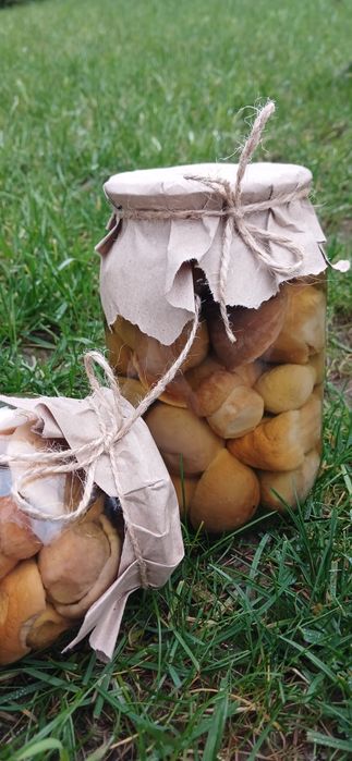 Гриби білі мариновані, консервовані, карпатські