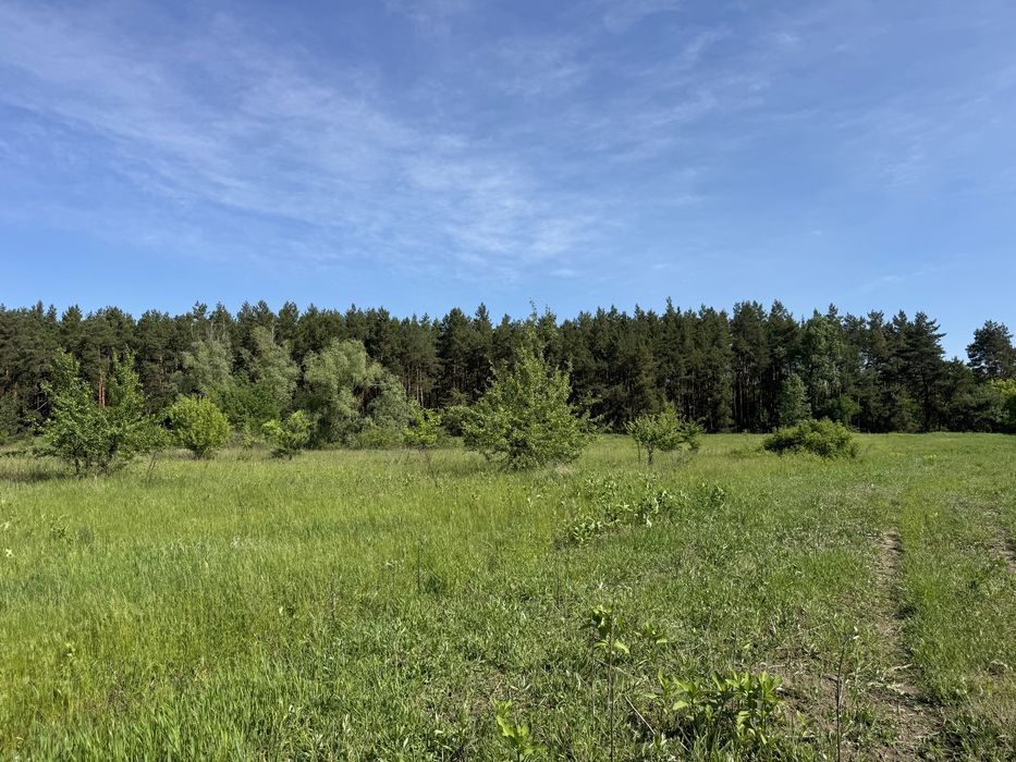 2 Га біля ліс Проців Процев