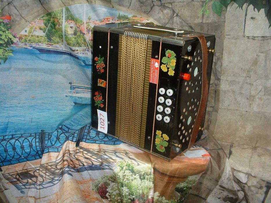 Promoção de Acordeões de concertinas