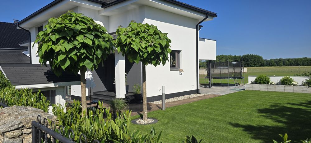 Pracę ogrodnicze, drobne naprawy, nawadnianie