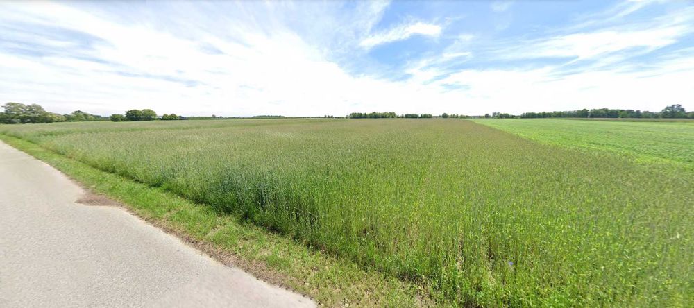 Działka rolna 4,88 / 9,76 ha za Żelazową Wolą