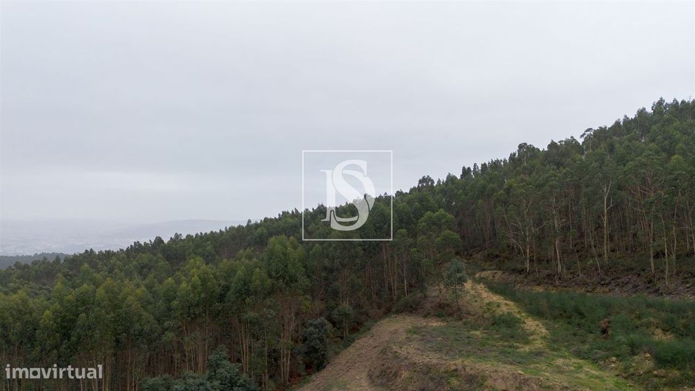 Terreno  Venda em Vandoma,Paredes