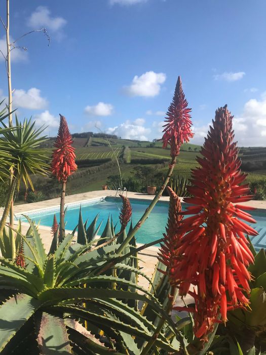 Quinta de Eventos