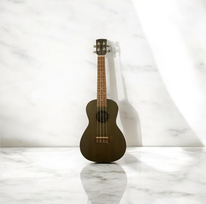 Ukulele-Laka + duas capas