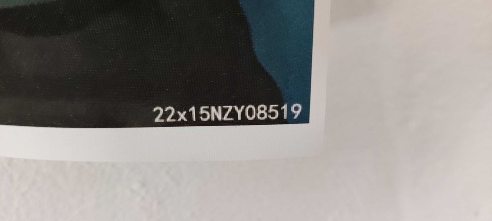 Tela Aniversário Dinossauro 220x150m