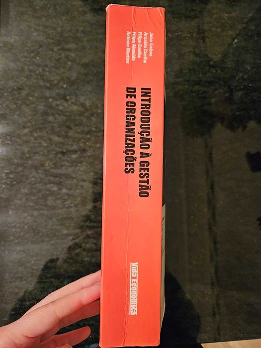 Livro de Introdução à Gestão de Organizações