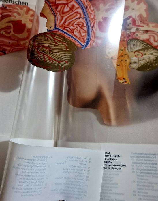 Sprzedam oryginalny zestaw Niemieckich Encyklopedii