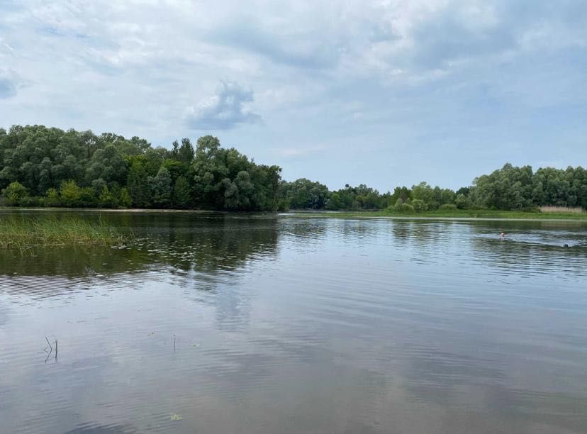 Продам земельну ділянку біля річки Снов