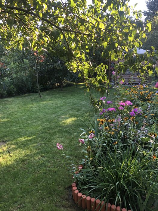 sprzedam prawo do użytkowania ROD – Warszawa ul. Łodygowa