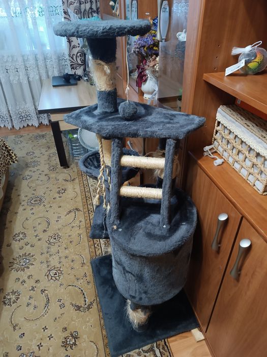Будинок для котика