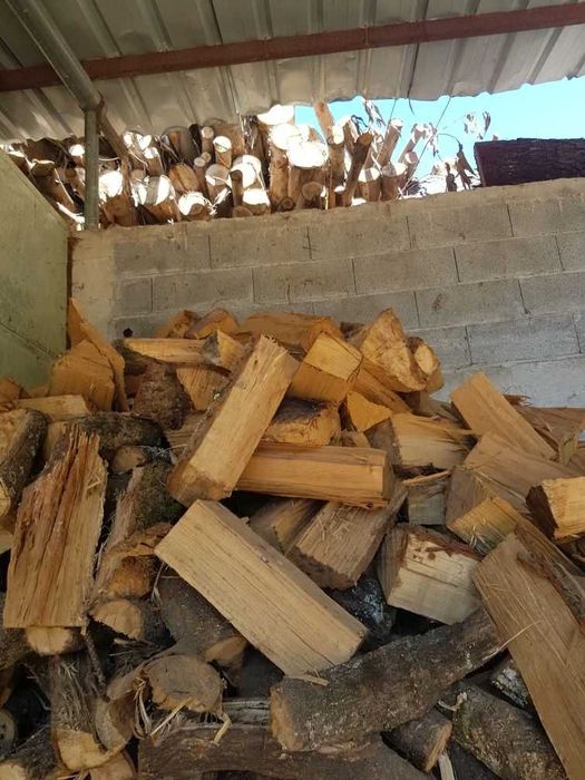 Canhotas de eucalipto forno