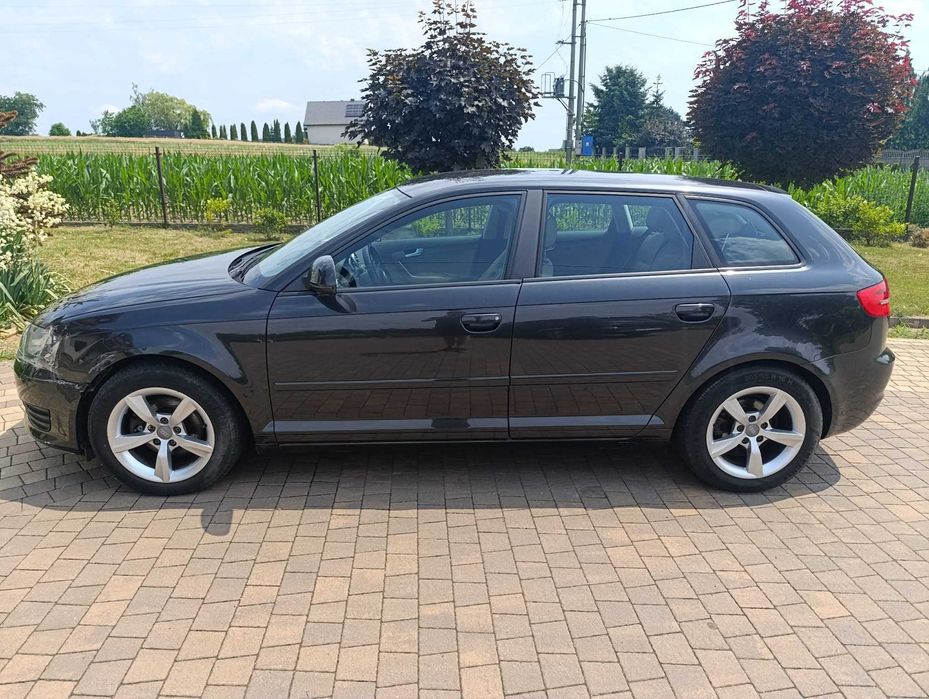 audi a3 8p hatchback 2010