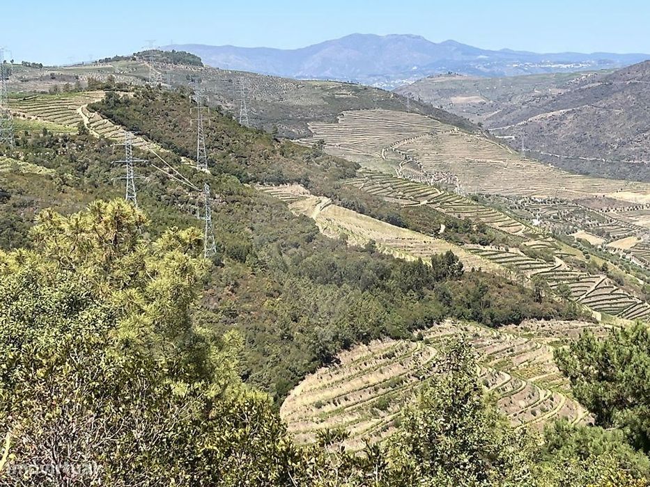 Terreno  para venda