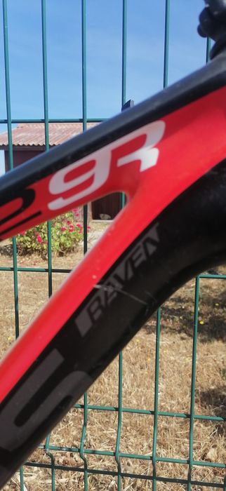 Focus Raven  29R  carbono