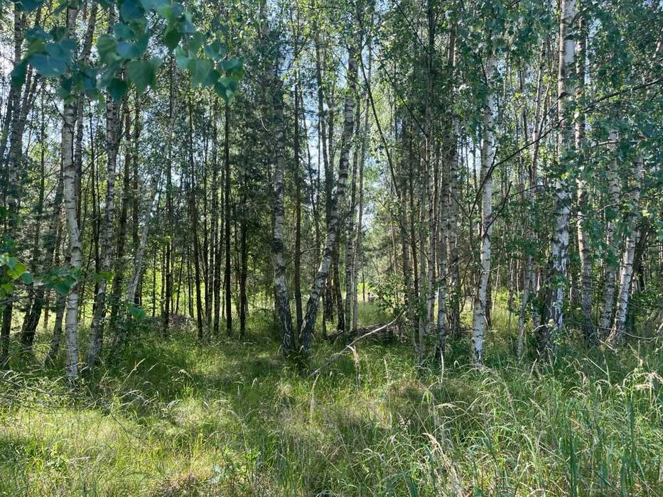 Działka na sprzedaż - Chłopowo - Widok 6