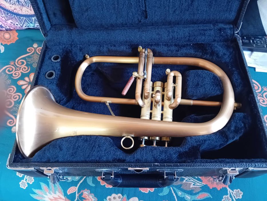 CarolBrass Fliscorne / Flugelhorn
