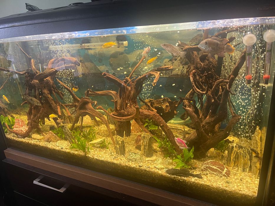 Oddam akwarium 200 l