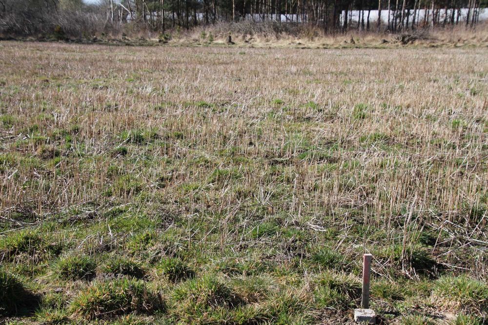 Sprzedam działkę budowlaną