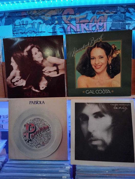 Vinil - Tim Maia , Chico Buarque, Milton Nasc,Elis Regina, Caetano ...