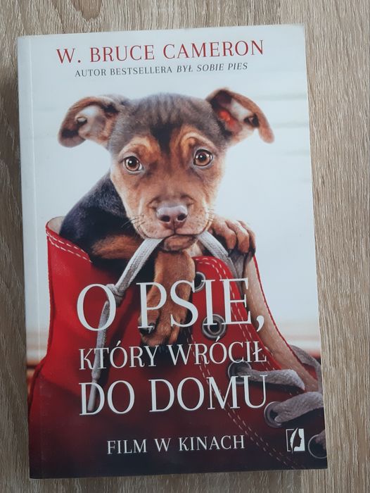 "O psie, który wrócił do domu" W. Bruce Cameron