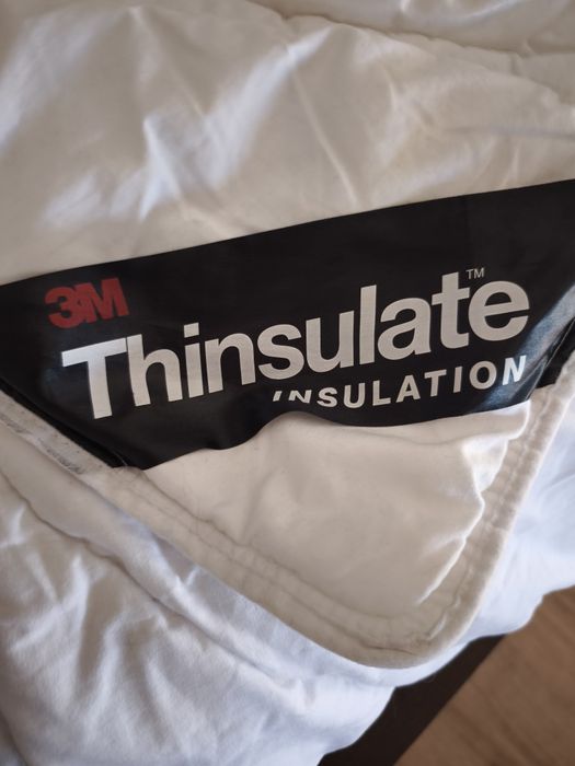 Edredão 220*230 Thinsulate 3M Meradiso LIDL Artic