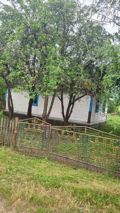 Продам  будинок в тихому селі