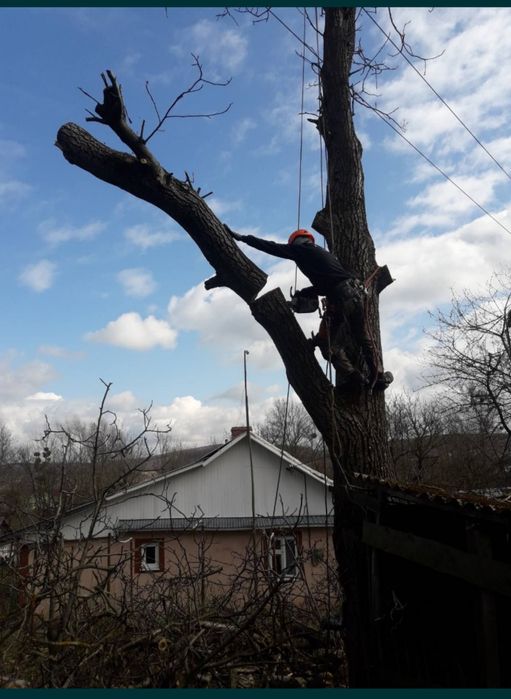 Зрізання дерева, зріз дерева , ремонт даху, висотні роботи