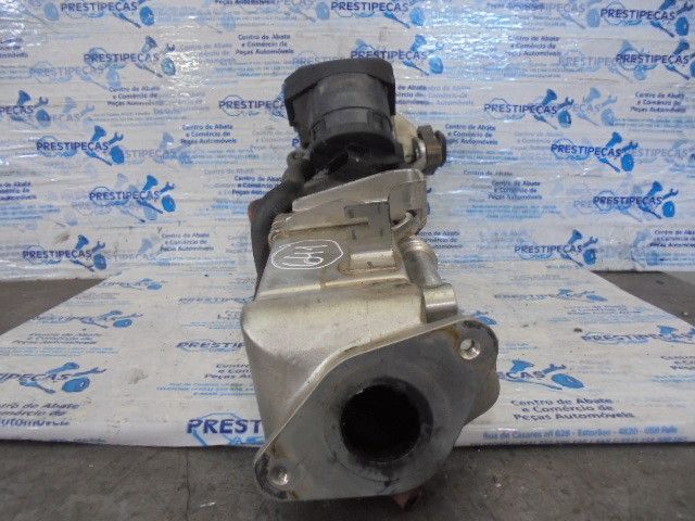 Válvula EGR BMW 1 (F20)