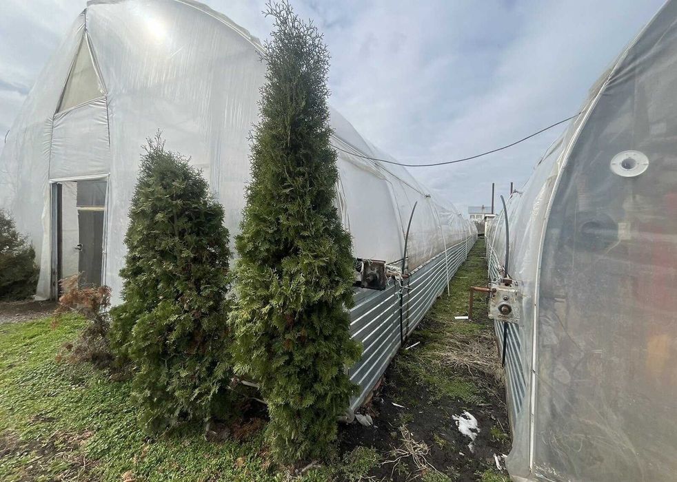 Продаж комерційного приміщення в Яришівці