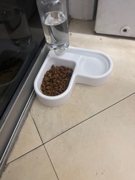 Кормушка поилка автоматическая для кота собаки миска лоток кошки