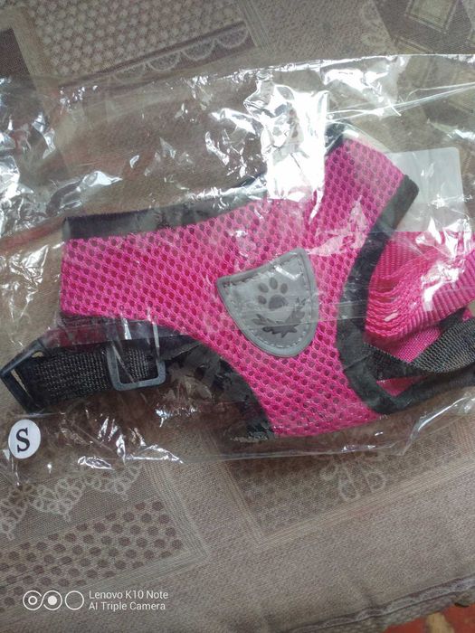 Шлея і поводок для маленьких собак