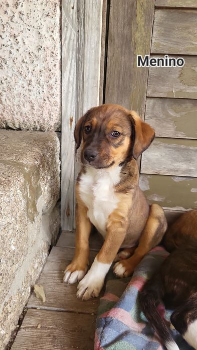 Bebes com 3 meses