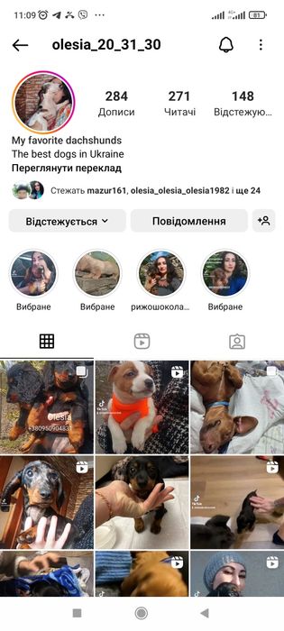 Таксята з доставкою по Україні та за кордон