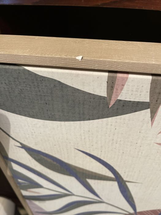 Tela florida e colorida