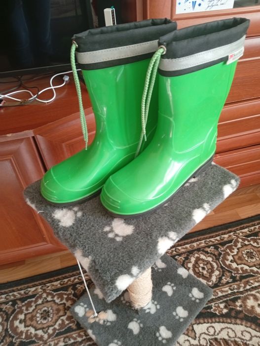 Дитячі резинові сапоги