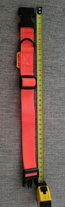 Peitoral + Coleira para cão 10€