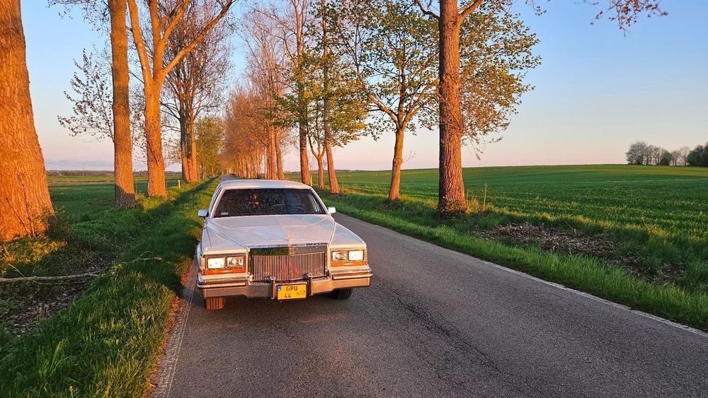 Cadillac Fleetwood Cadillac Brougham Silverhawk | Armbruster/Stageway | limuzyna | 1987