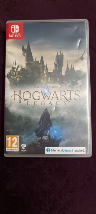 Hogwarts legacy nintendo switch