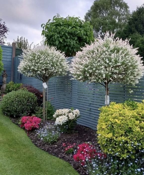 Автополив, Газон, Ландшафтний дизайн, Озеленення