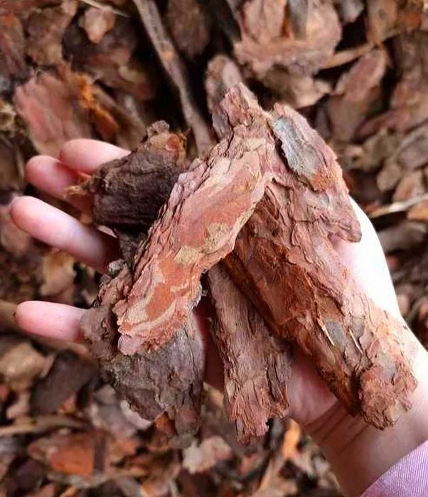 Kora sosnowa gruba, Średnia, drobna, ręcznie sortowana