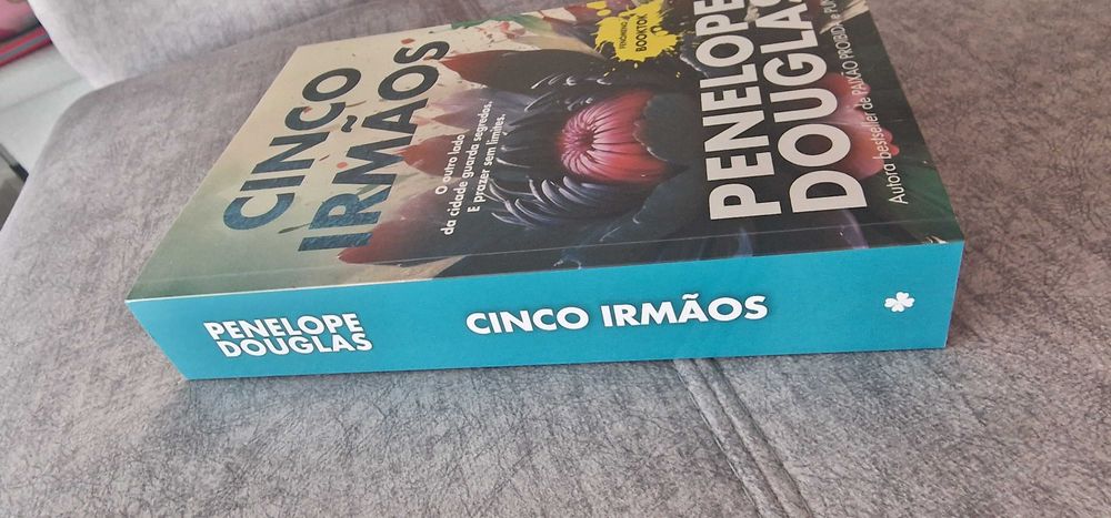 Livro cinco irmãos