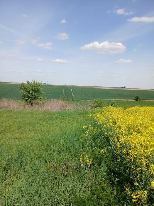 Bronowice działka  rolna 46 ar.