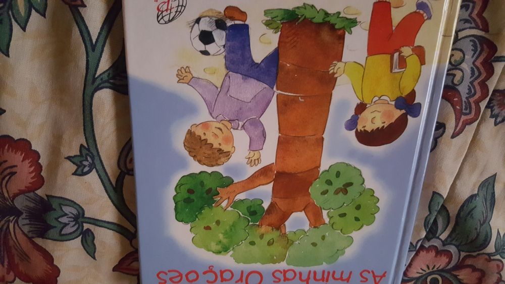 Livros didáticos infanto-juvenis