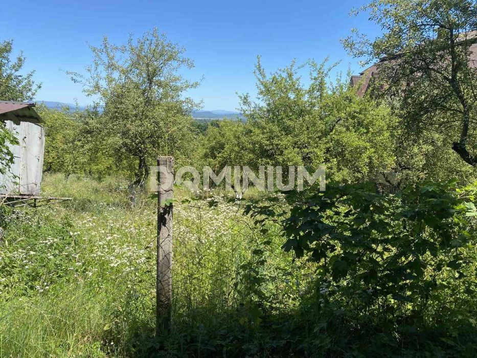 Продається земельна ділянка у с. Шаян