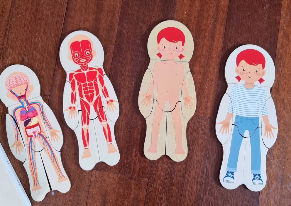 Drewniane edukacyjne puzzle anatomiczne – ciało człowieka warstwowo
