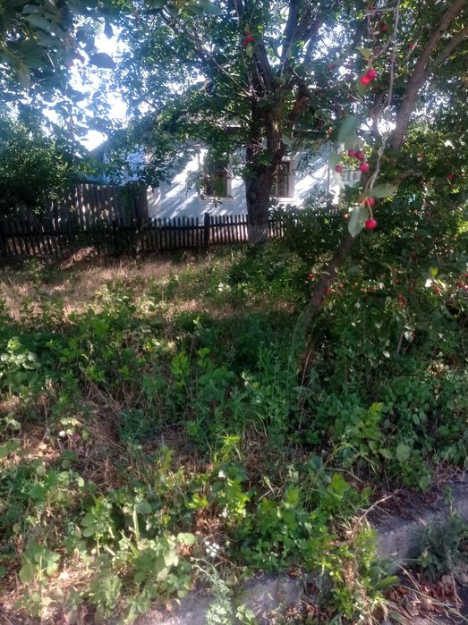 Продам дім в центрі пгт Арбузинка Миколаївської області