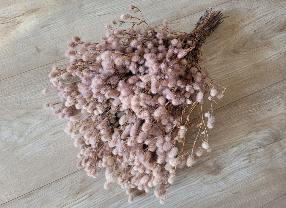 suszone boho bukiety różne rodzaje