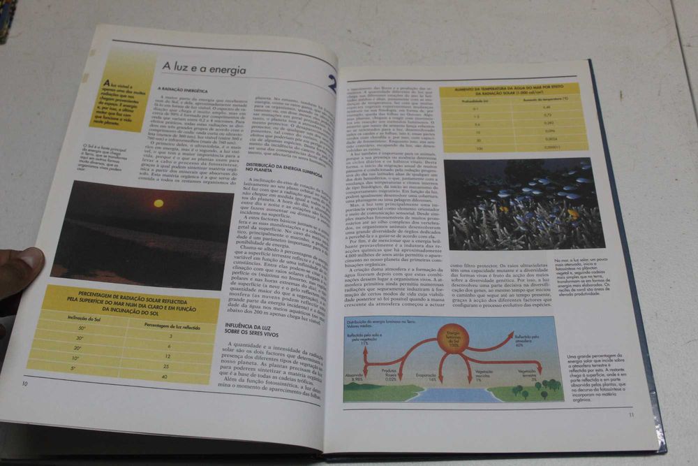 Ecologia - O Nosso Planeta