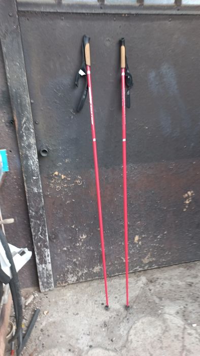 Kijki do nartorolek 165 cm